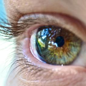 Mills Optometry photo
