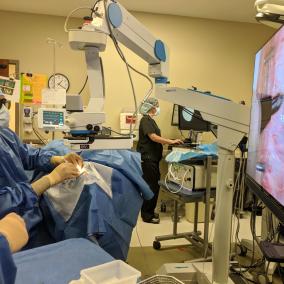 Northern Ohio Eye Consultants, Inc photo