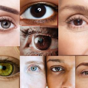 Optometric Care, Inc. photo