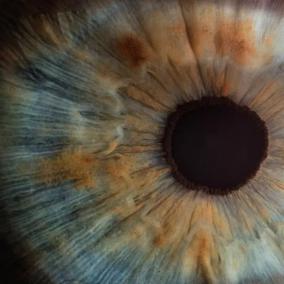Tacoma Family Eyecare photo
