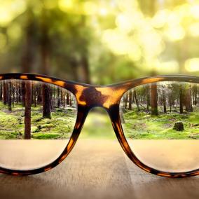 United Optical photo