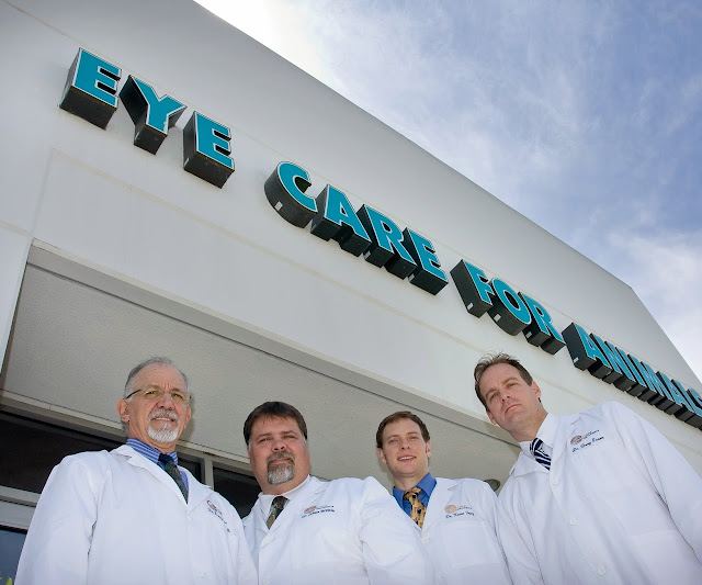 Eye Care for Animals - Tustin photo