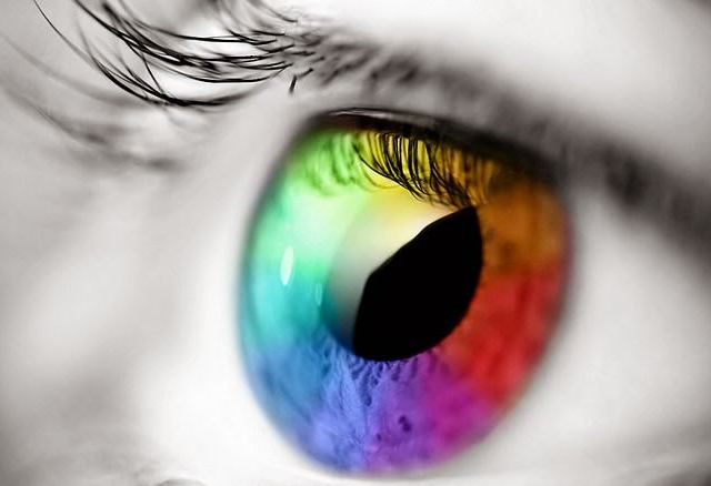 Visionary Eye Care photo