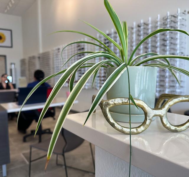 Del Mar Family Eye Care photo