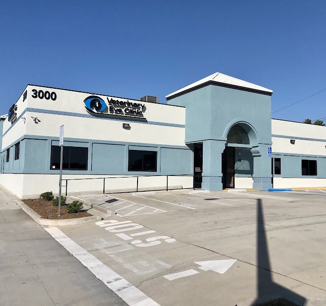 Veterinary Eye Clinic Alhambra photo