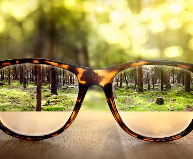 Slc Optical Land photo