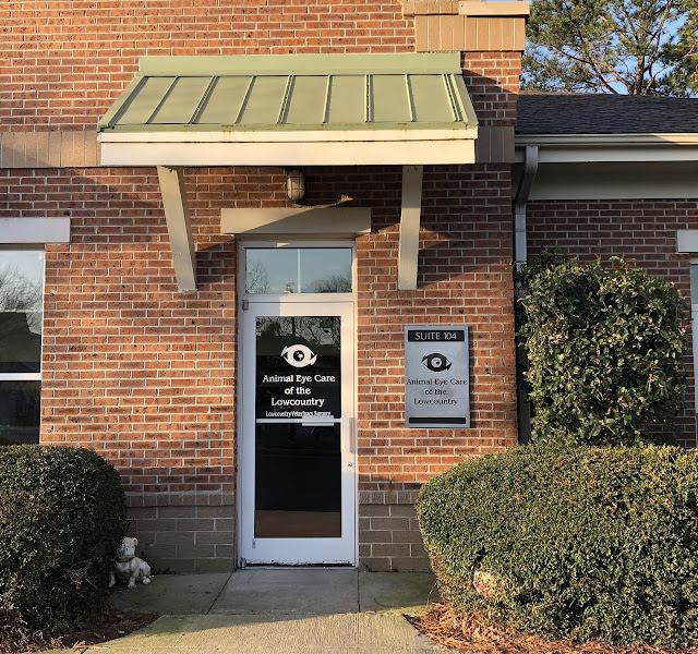 Animal Eye Care Associates photo