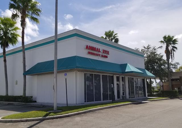 Veterinary Eye Institute Deerfield Beach photo