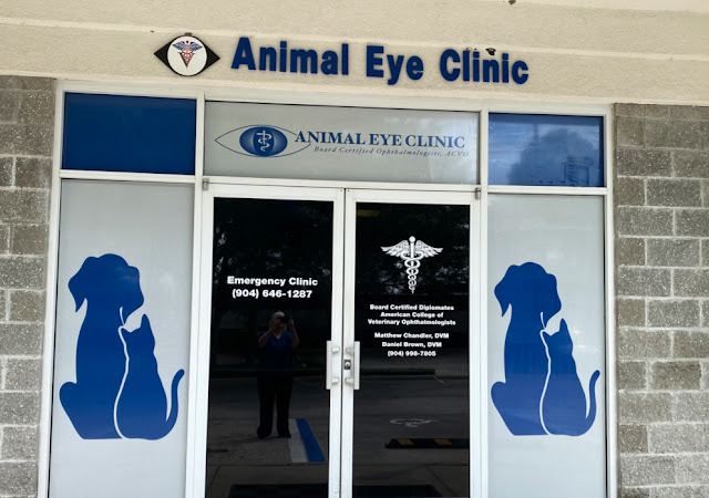 Animal Eye Clinic photo