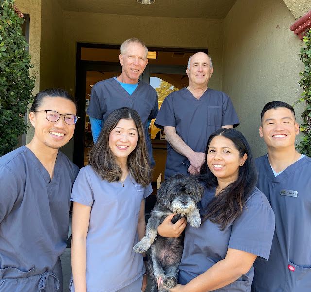 Silicon Valley Eye Physicians photo