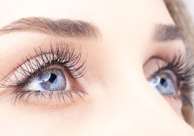 Eye Specialists of Rockford photo