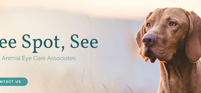 Animal Eye Care Associates photo