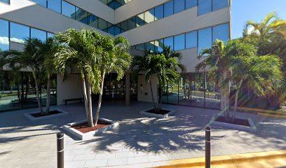 Hollywood Ophthalmology Associates photo