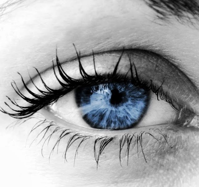 Rosedale Vision Center photo
