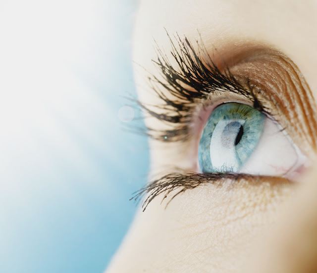 We Care For Eyes, Inc photo