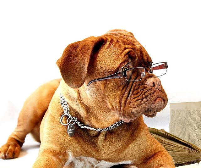 Optique photo
