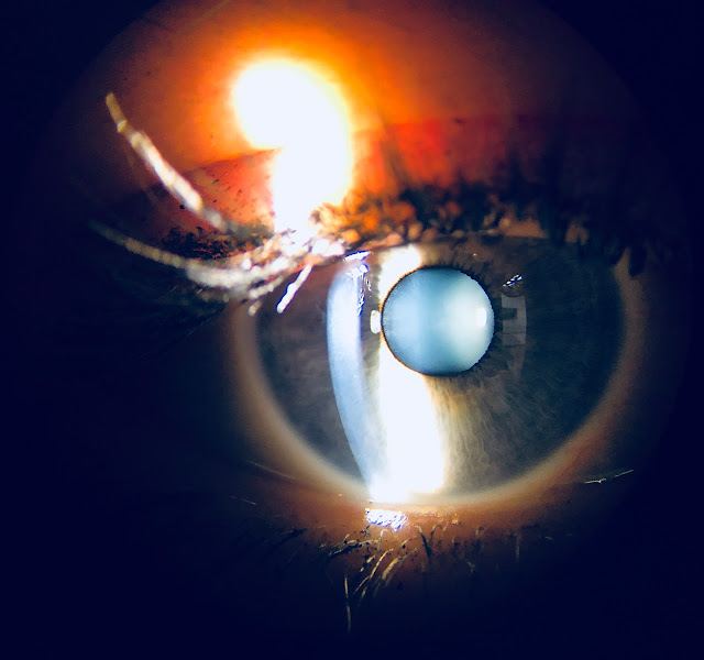 North Central Eye: Joshua Tims OD photo