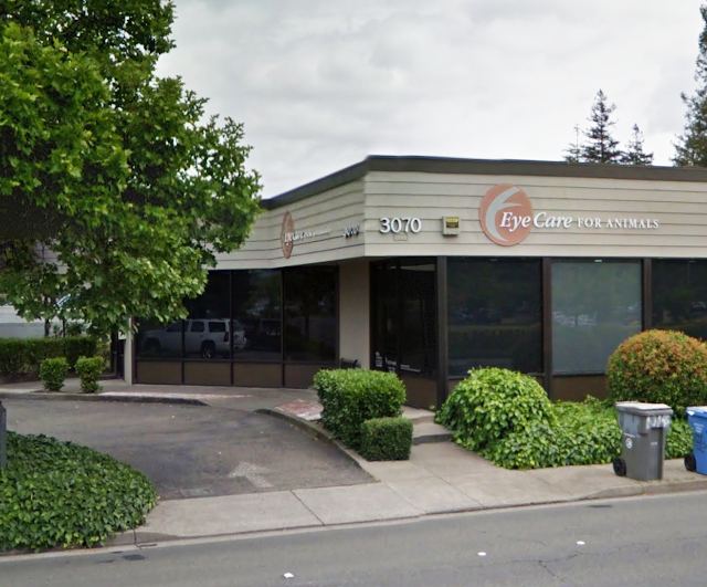 Eye Care for Animals - Santa Rosa photo