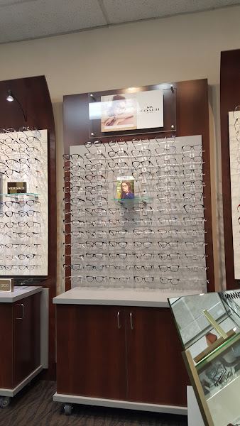 South Bay Optometry photo