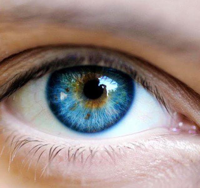 Eye Associates: Brian Sucheski, MD photo