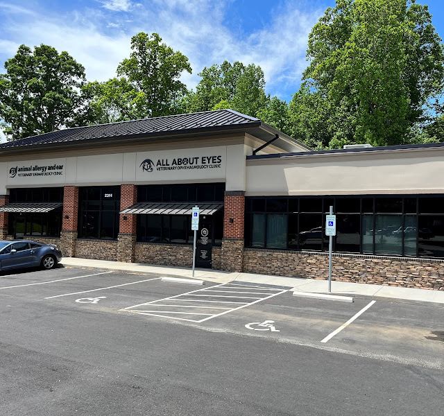 All About Eyes Vet Ophthalmology Clinic photo