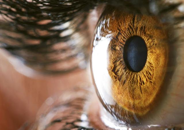 Walmart EYE EXAMS - Independent Eye Doctor, Dr. Hassinger photo
