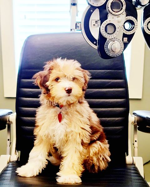 North Point Eye Care photo