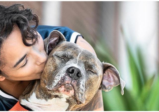 Banfield Pet Hospital photo