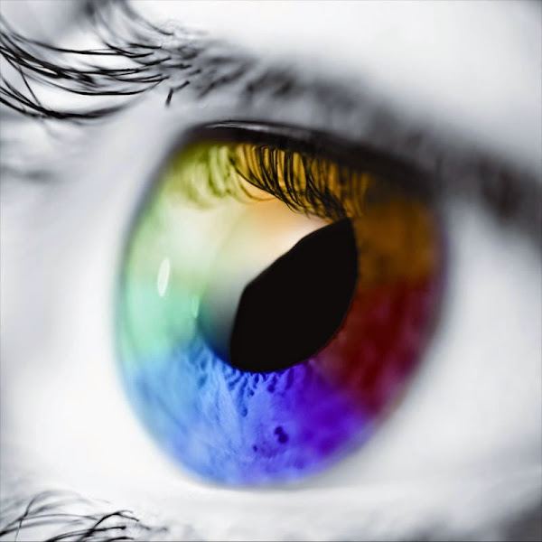 Eye Foundation of Utah photo