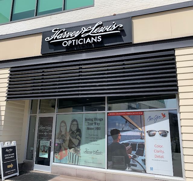 Harvey & Lewis Opticians photo