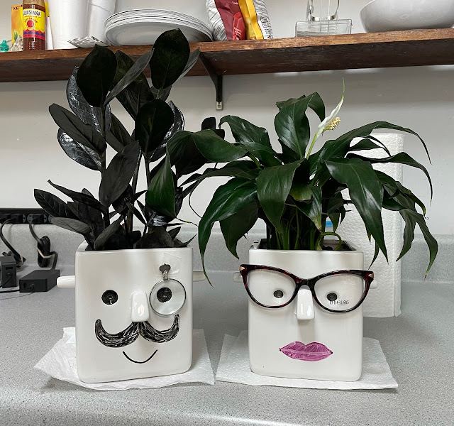 Amy Lackey Family Eye Care photo
