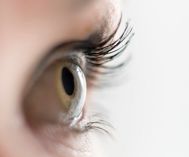 South Ogden Eyecare - Shawn Murray, OD photo