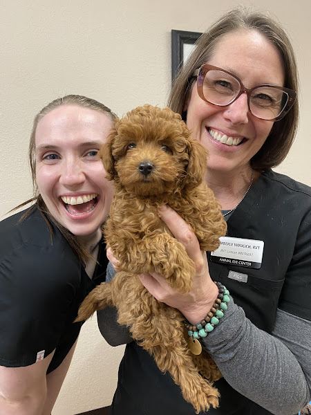 Animal Eye Center photo
