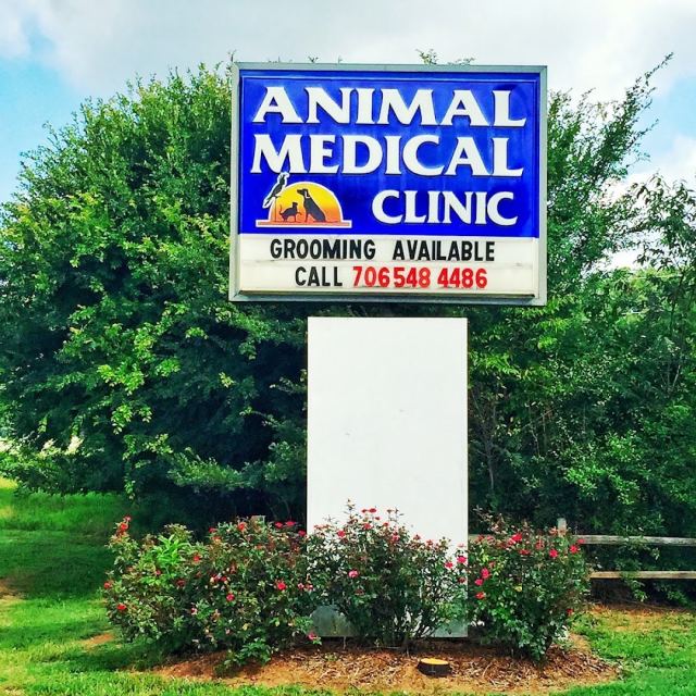 Animal Eye Care Clinic photo