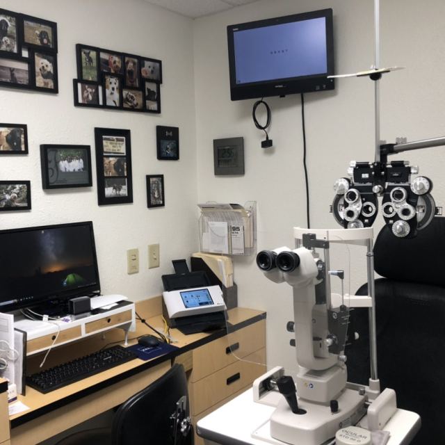 Dr. Maria Kim photo