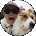 Cindy Kenward Avatar