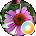 Deanne Henderson Avatar
