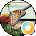Vanessa B. Avatar