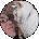 Kathryn Breitenfeldt Avatar