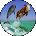 Jeff Cook Avatar