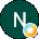 N S Avatar