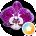Tammy Harrington Avatar