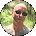 carl c Avatar
