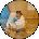 Sharon Marks Avatar