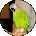 Hermit H.4551 Avatar