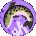Cat Pol Avatar