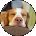 Betty Aberson Avatar