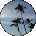 David Brinks Avatar