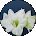 Barbara Harris Avatar