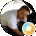 Bill Rose Avatar